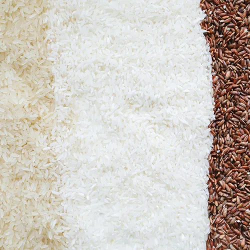 Rice
